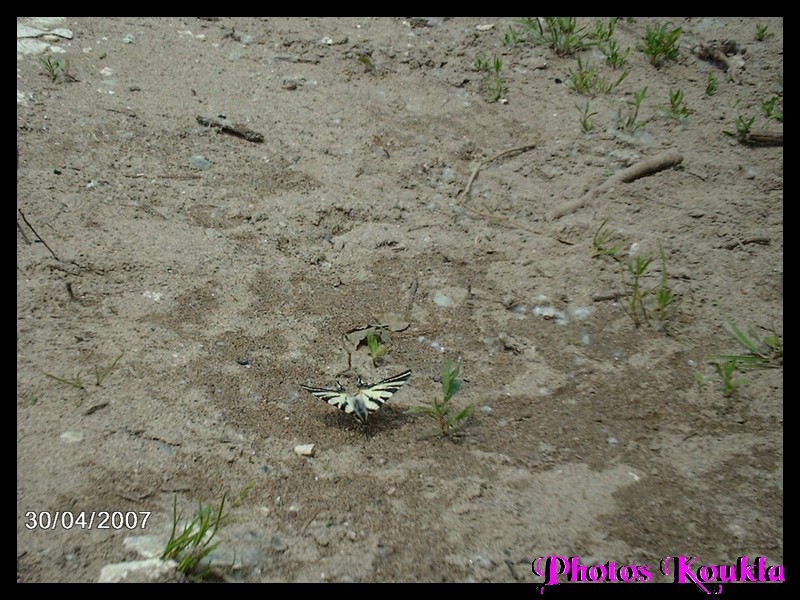 ARDECHE.ST MARTIN D ARDECHE